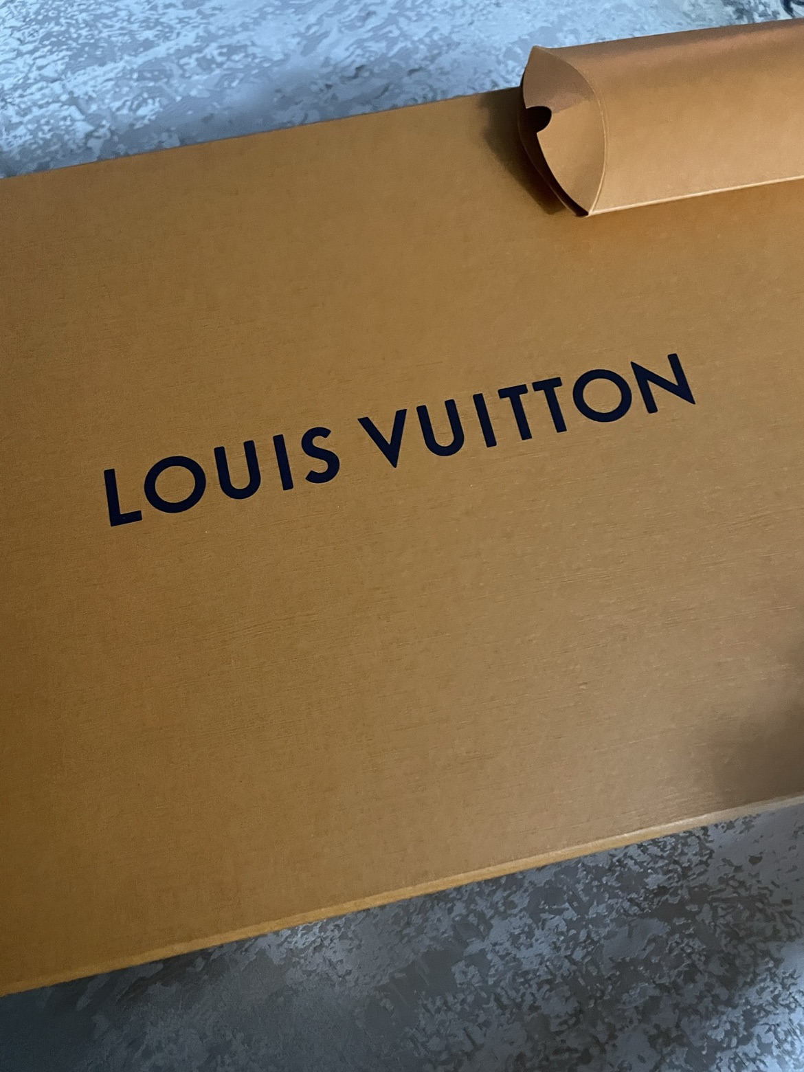 Louis Vuitton sneakers