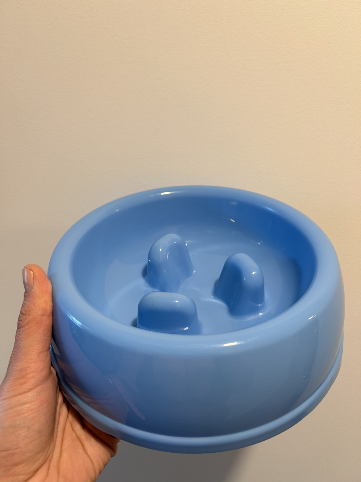 Dog bowl thumbnail