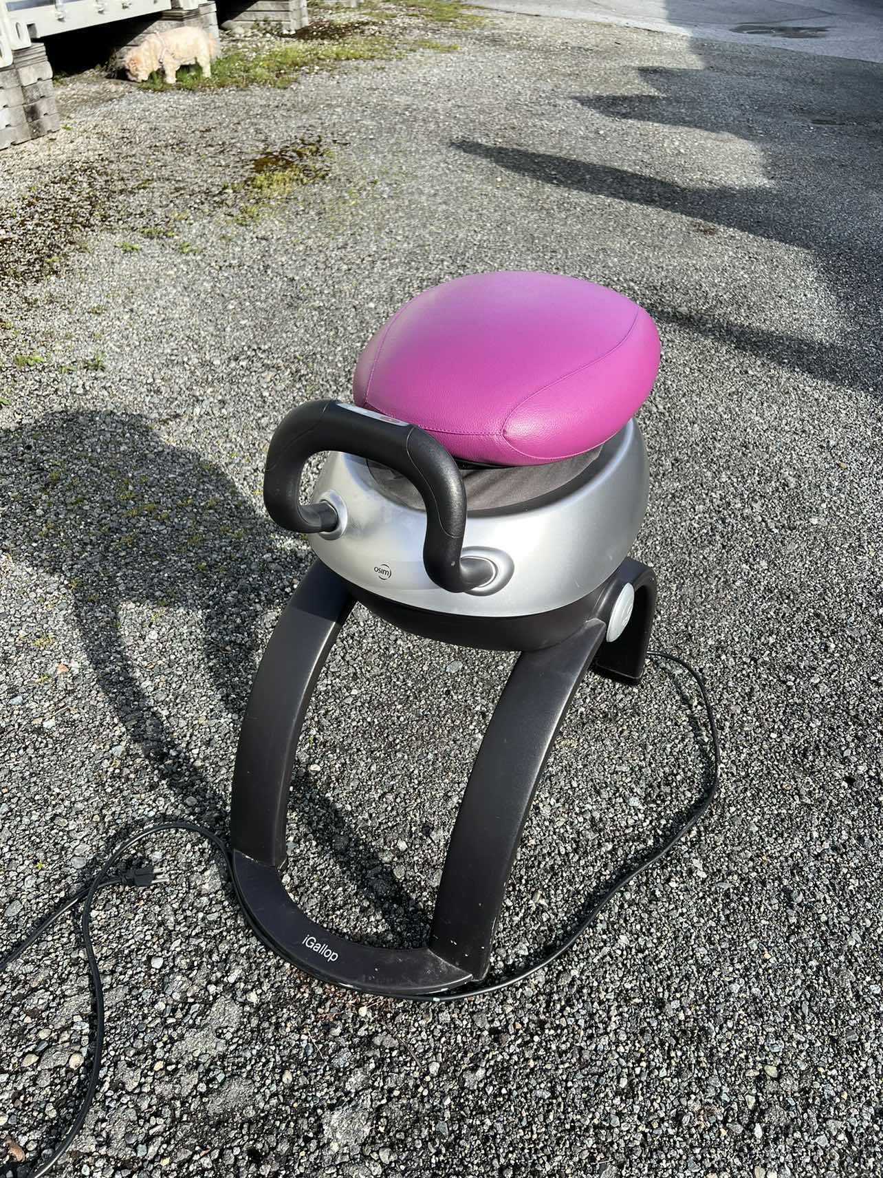 I GALLOP / Horse Galloping Exercises Machine with DVD image indicator(2)