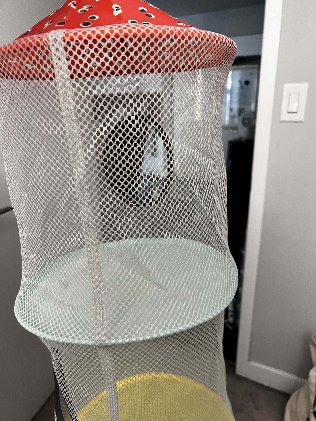Closet organizer