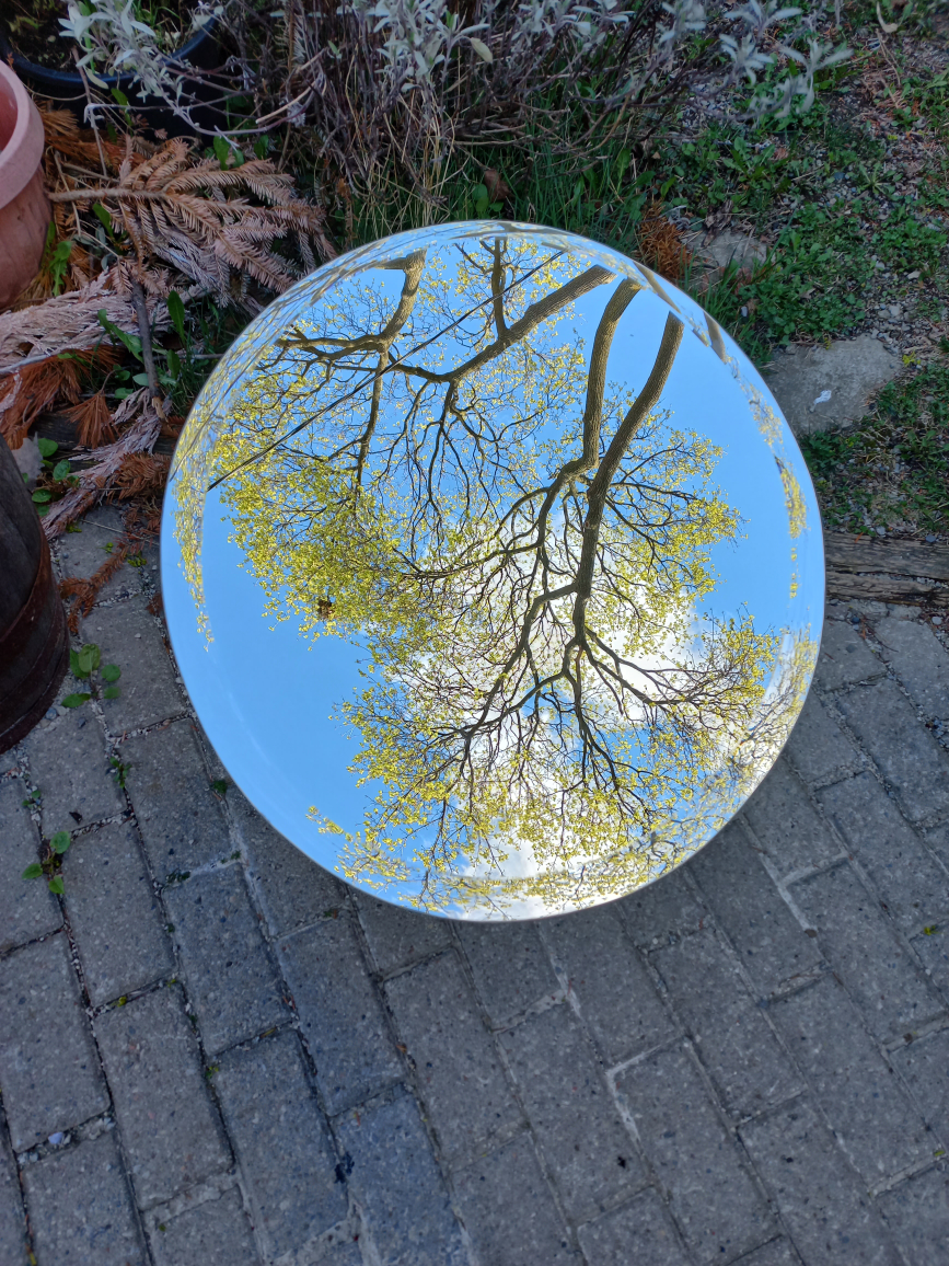 Mirror Oval