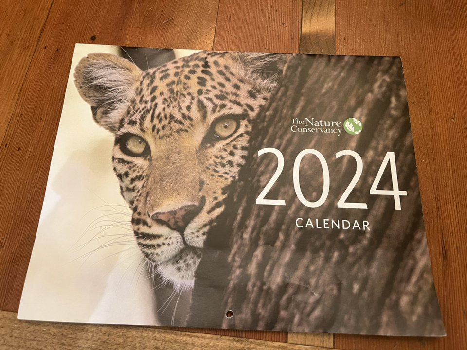 #freecycle Free calendar thumbnail
