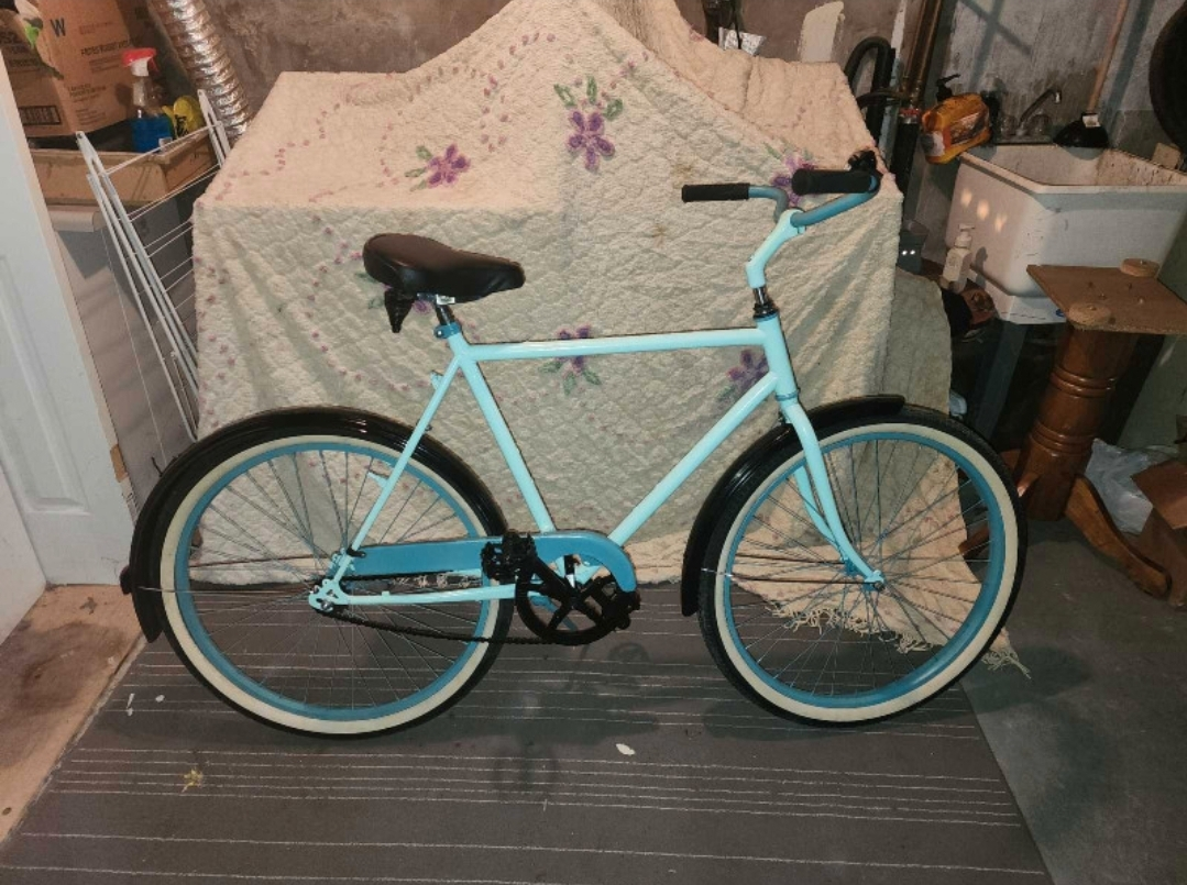custom beach cruiser