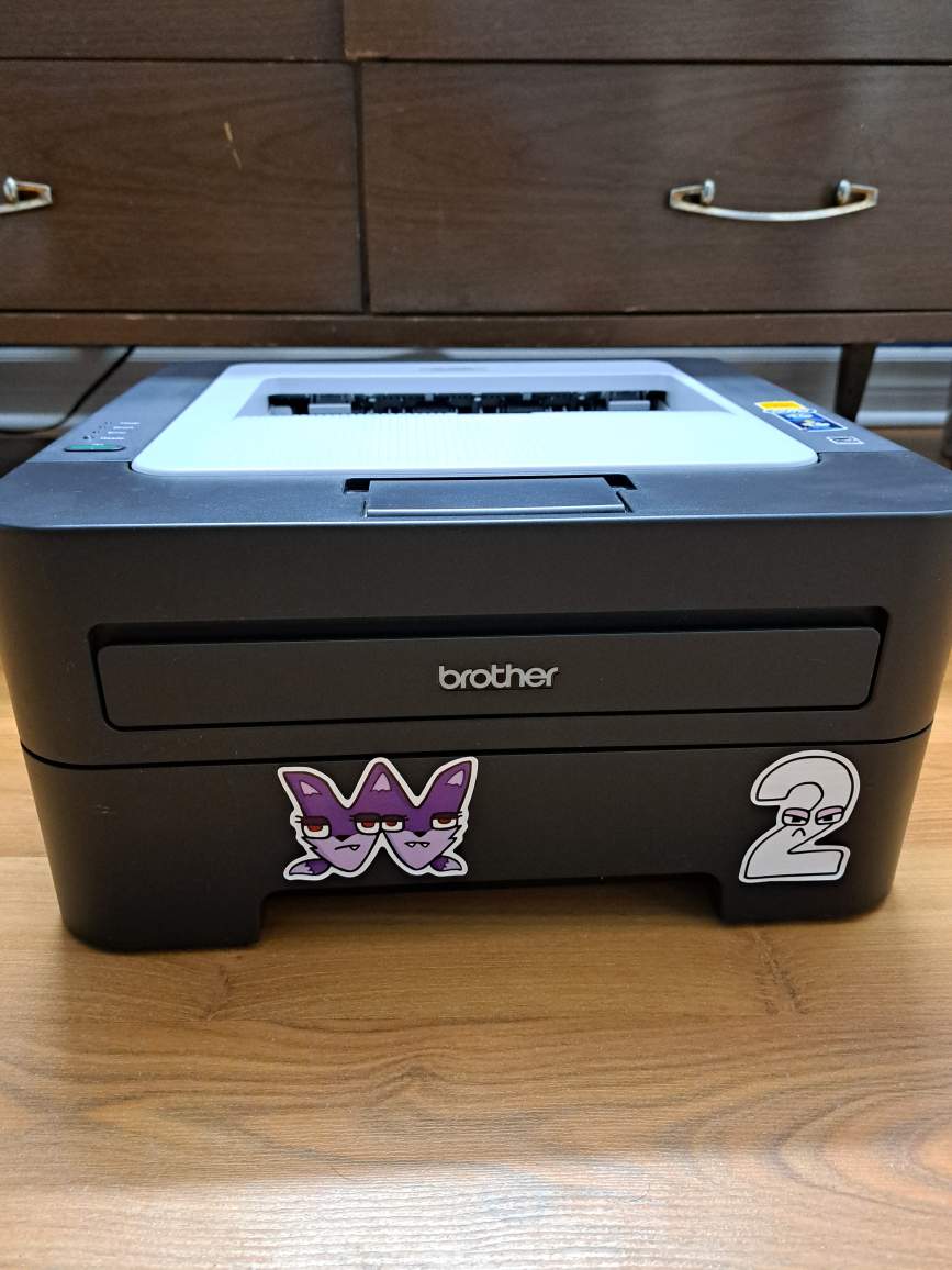brother laser printer ( HL 2230)