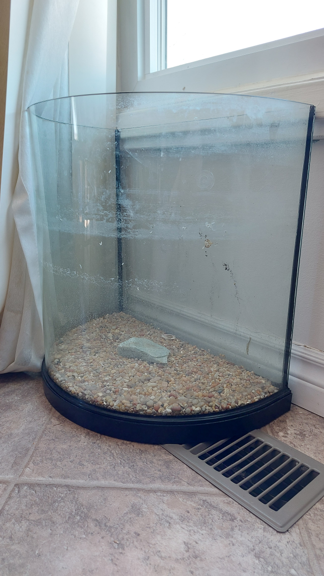 Aquarium/Terrarium half cylindrical, tall | #freecycle image indicator(2)