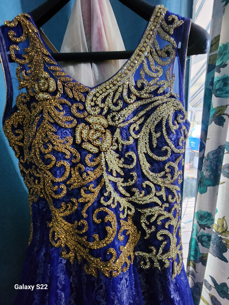 Indian long dress/gown image indicator(4)