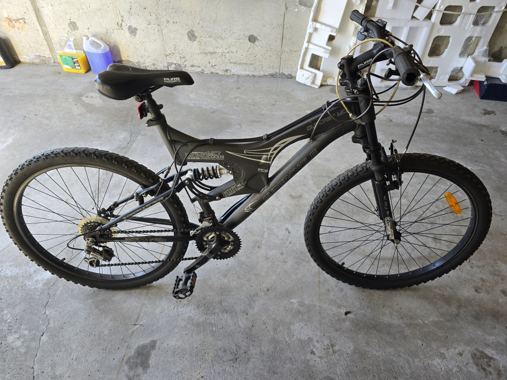 Adult bike with suspension