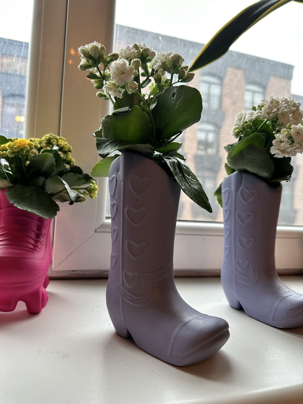 Assortment of Planters - photo 4