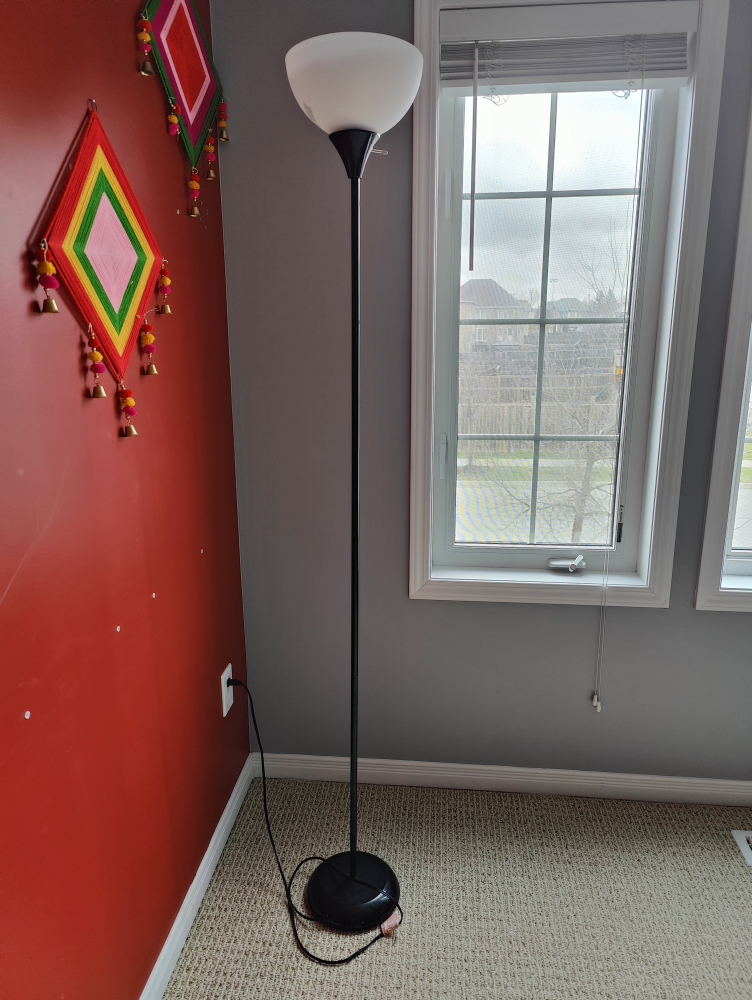 Floor Lamp (Tall) - Almost New