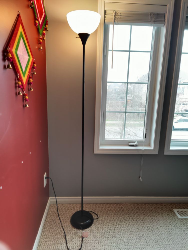 Floor Lamp (Tall) - Almost New - photo 2