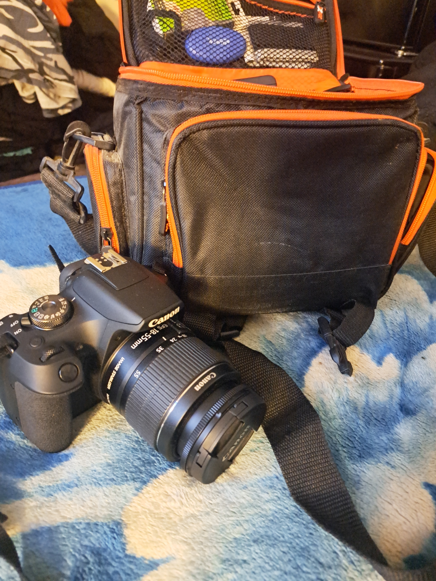 canon eos rebel t7 camara