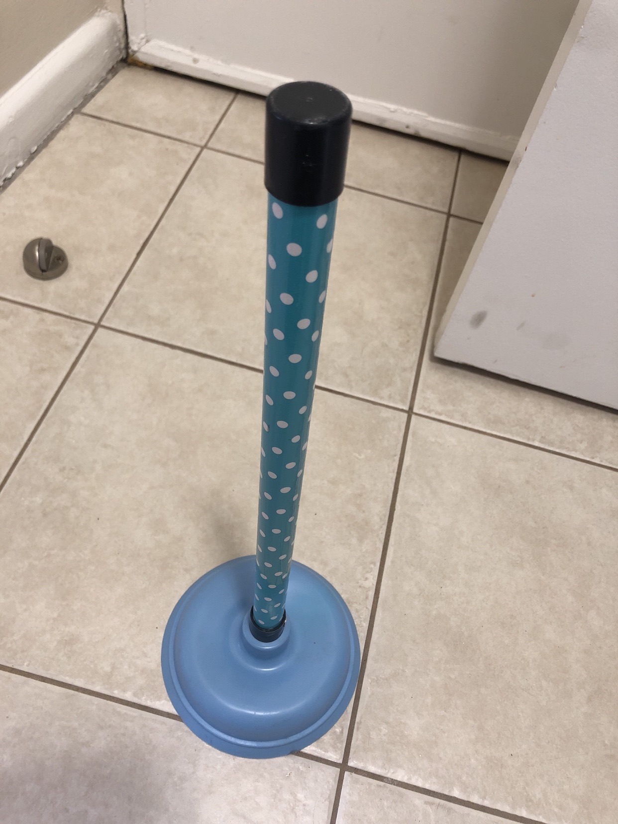 sink plunger #freecycle thumbnail