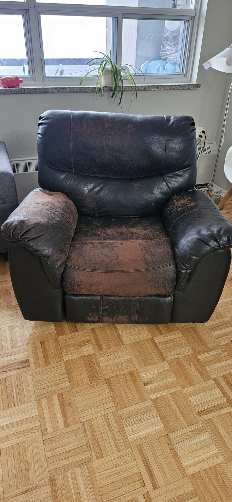 Electric Reclining Chair