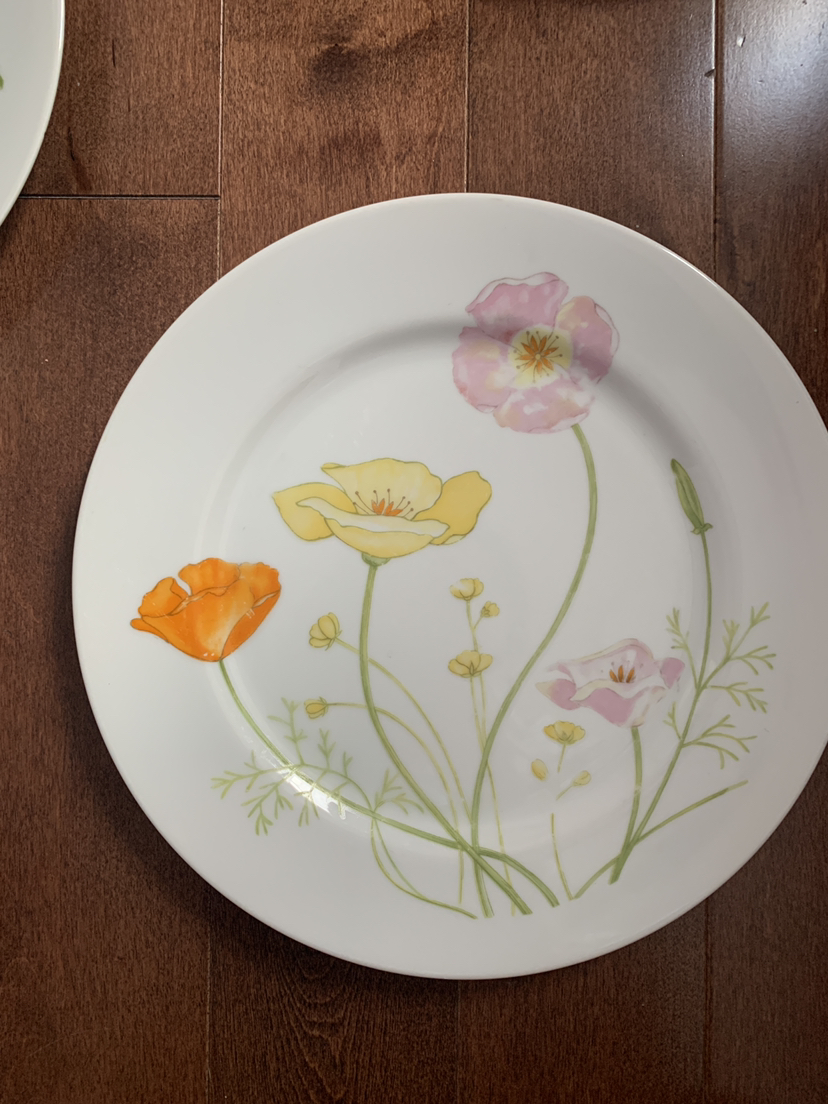 🥕Full Set: Jardin Genevieve fine china image indicator(10)