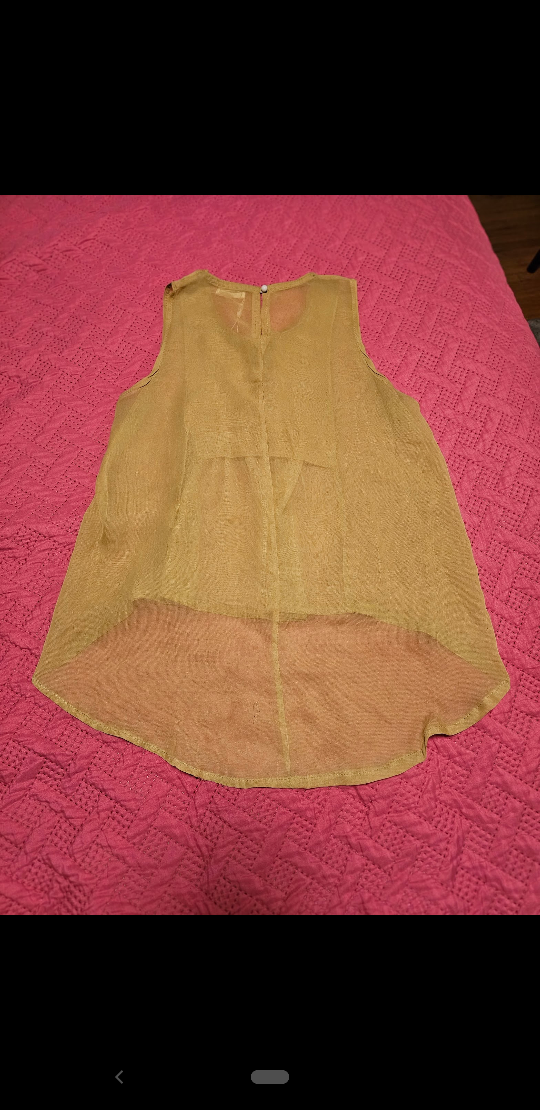 Sheer chiffon high low hem top image indicator(2)