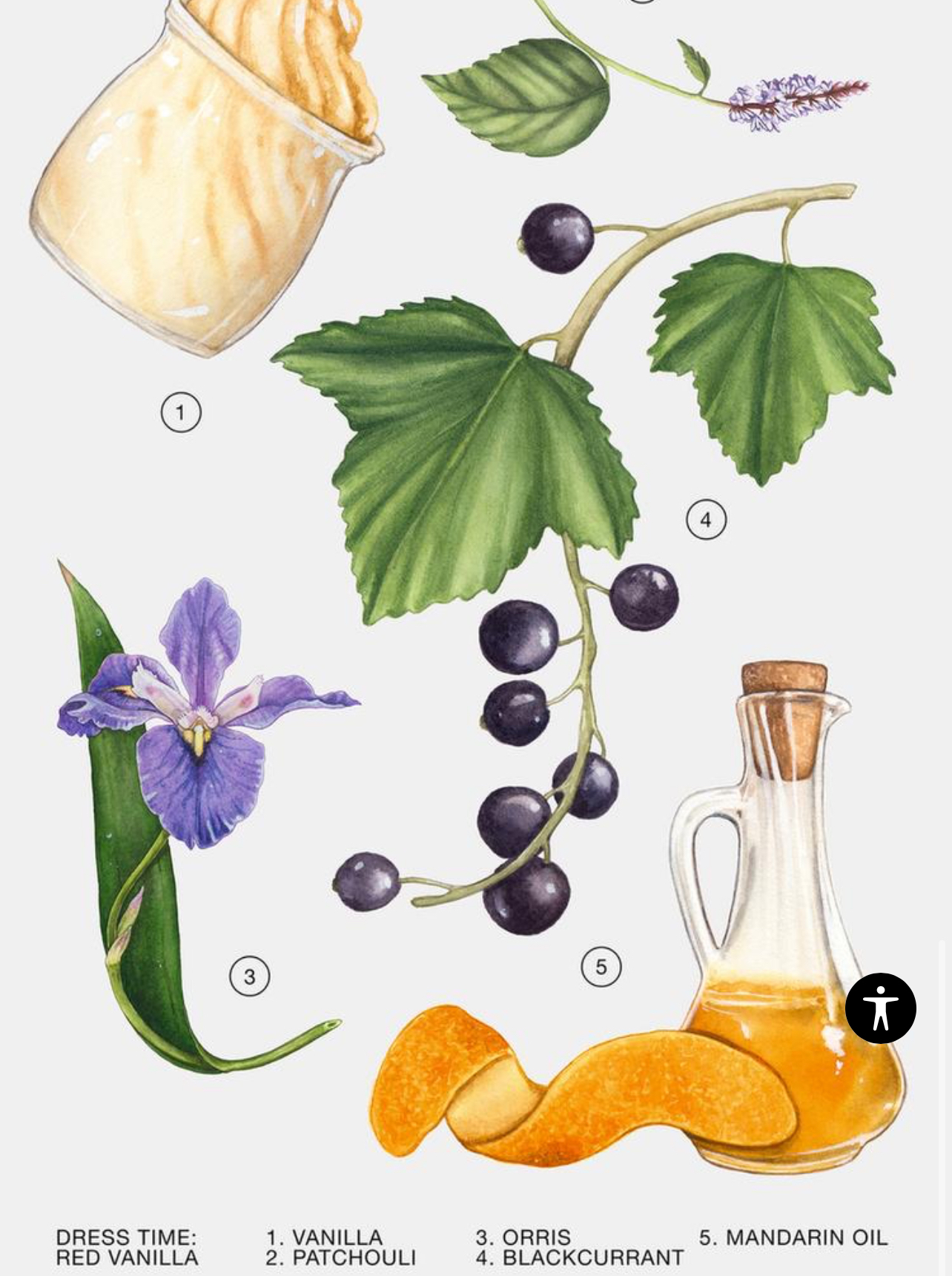 Zara - Red Vanilla Perfume image indicator(3)