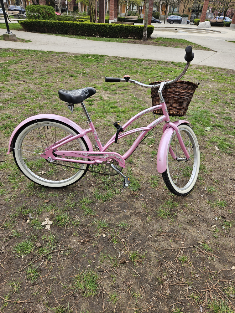 Cruiser Bike image indicator(7)