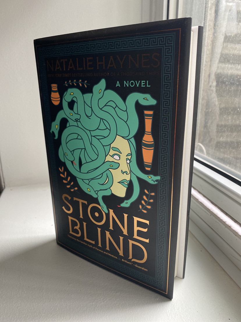 Stone Blind: A Novel thumbnail