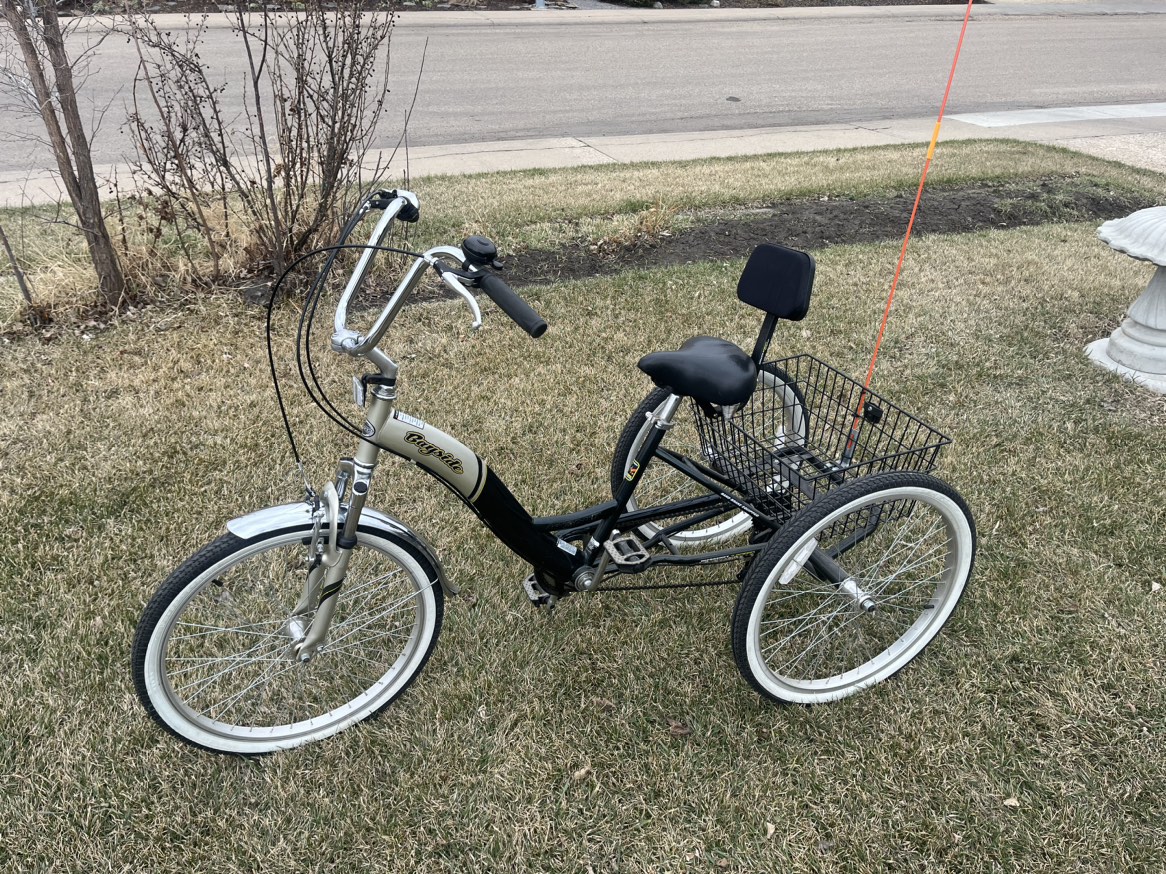 7 speed adult trike