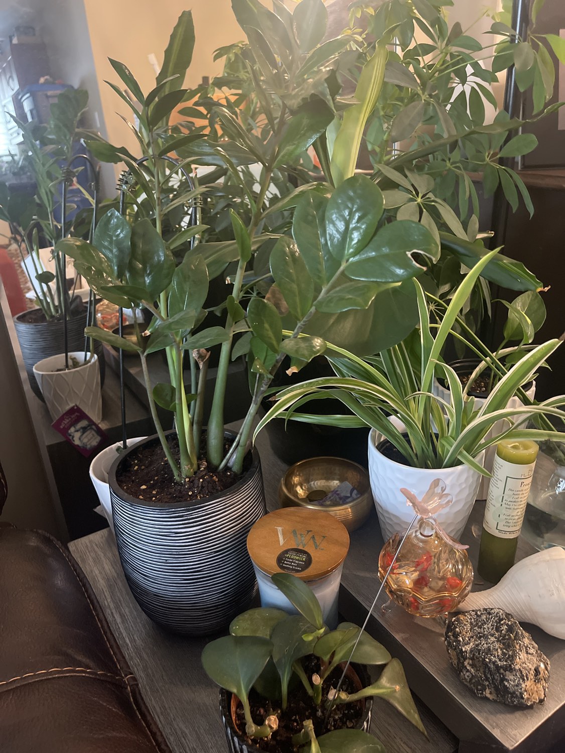 FREECYCLE image indicator(4)