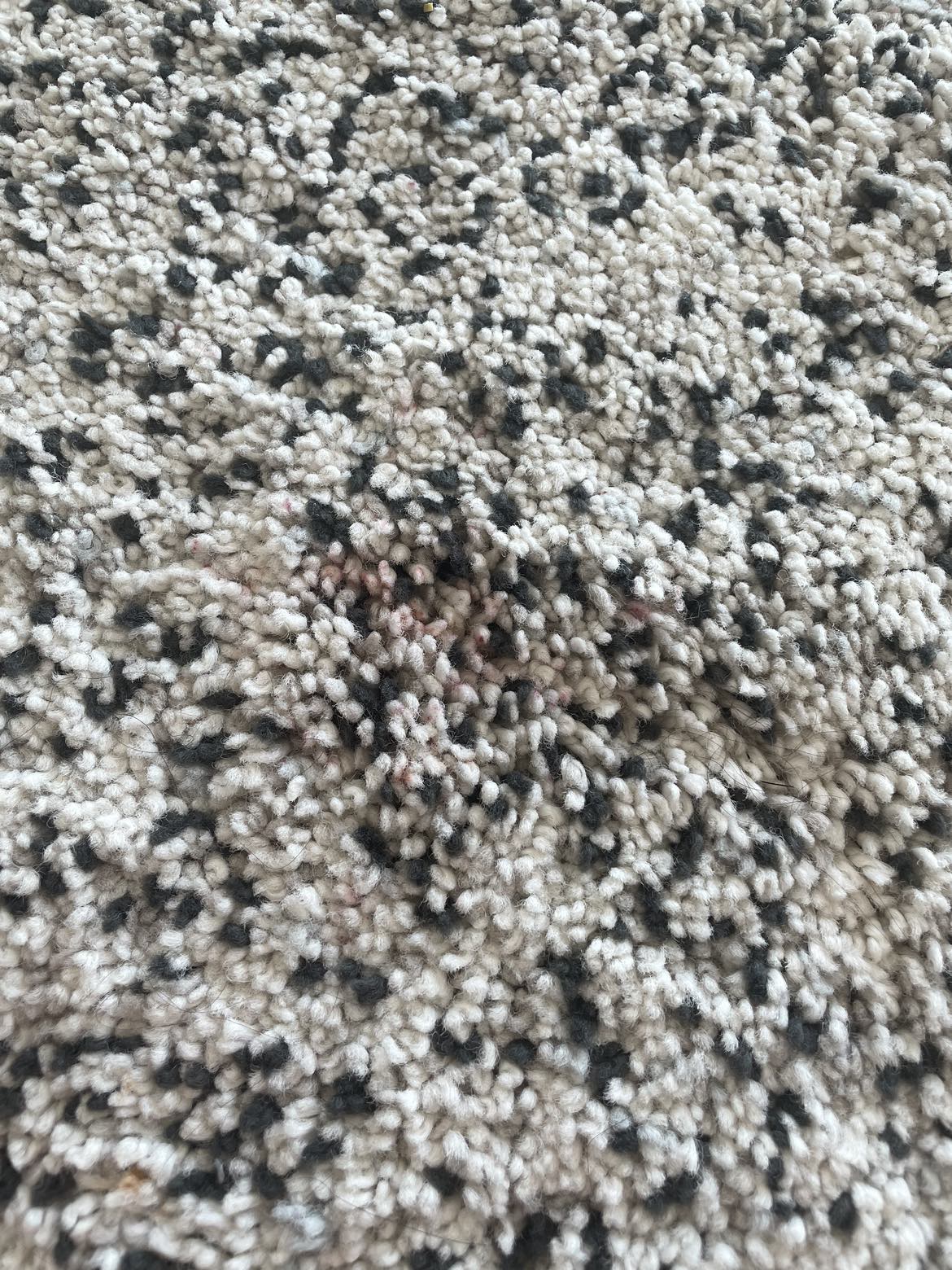 Two IKEA Rugs image indicator(6)