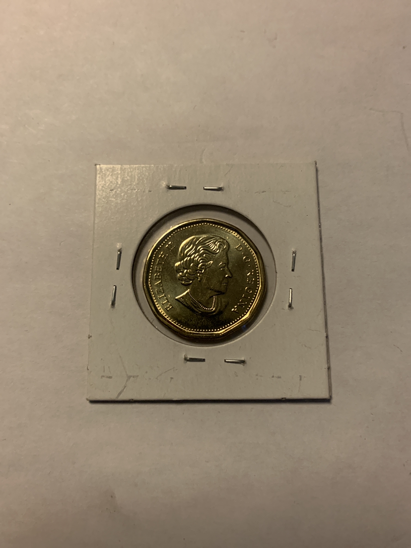1917-2017 Toronto Maple Leaf Loonie - photo 2