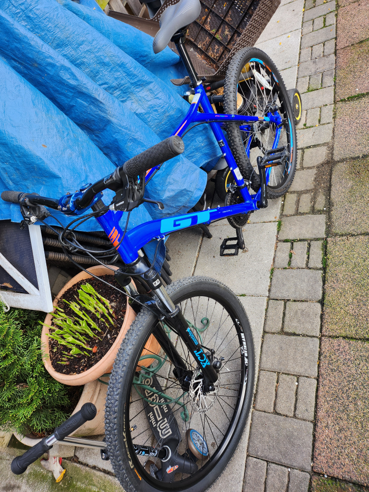GT Mountain bike