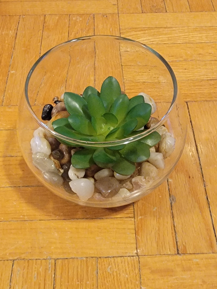 🥕Artificial Succulent plant and vase thumbnail