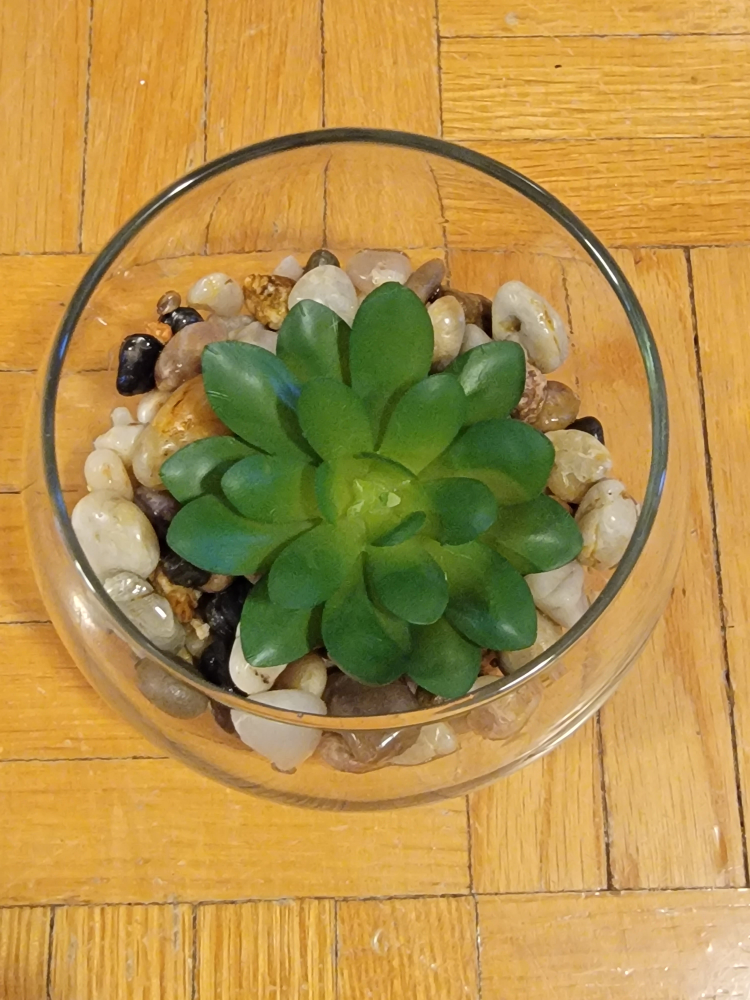 🥕Artificial Succulent plant and vase image indicator(2)