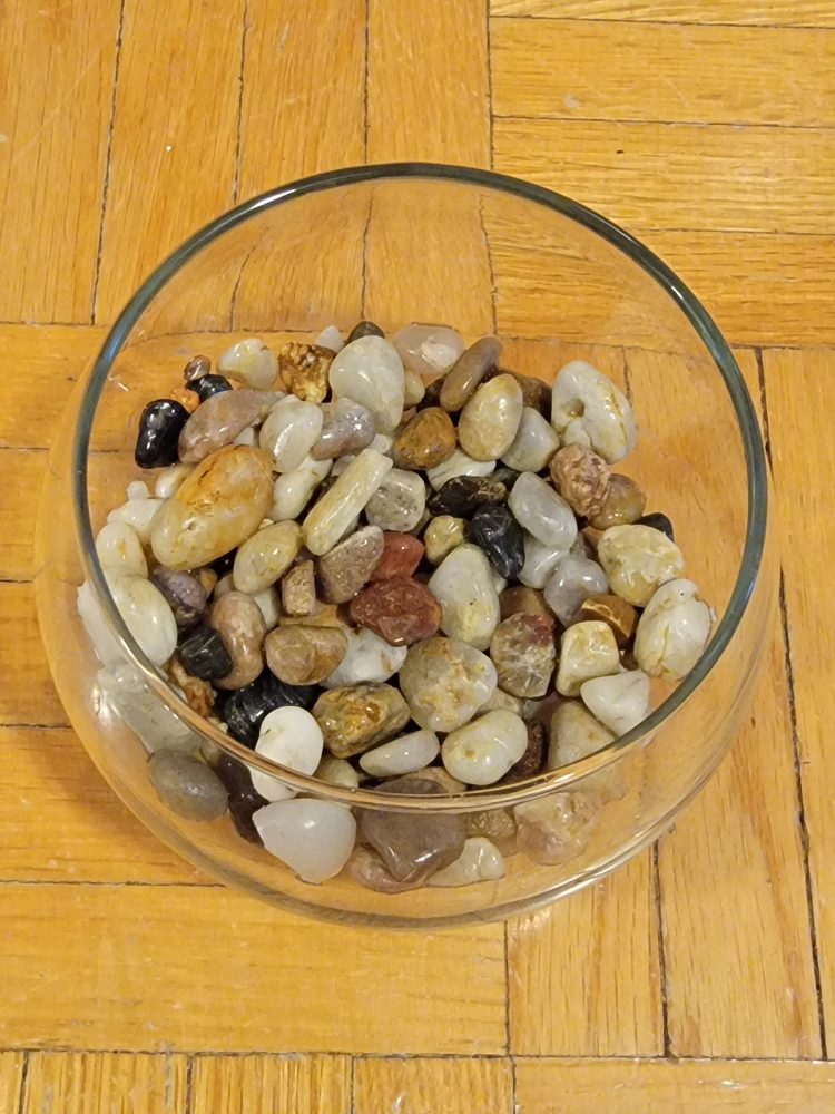 🥕Artificial Succulent plant and vase image indicator(3)