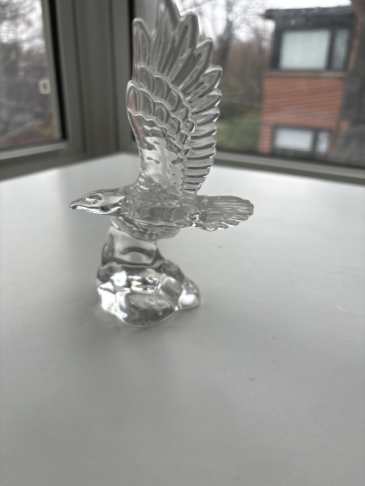 🥕Vintage Wonder of the Wild🥕 image indicator(2)