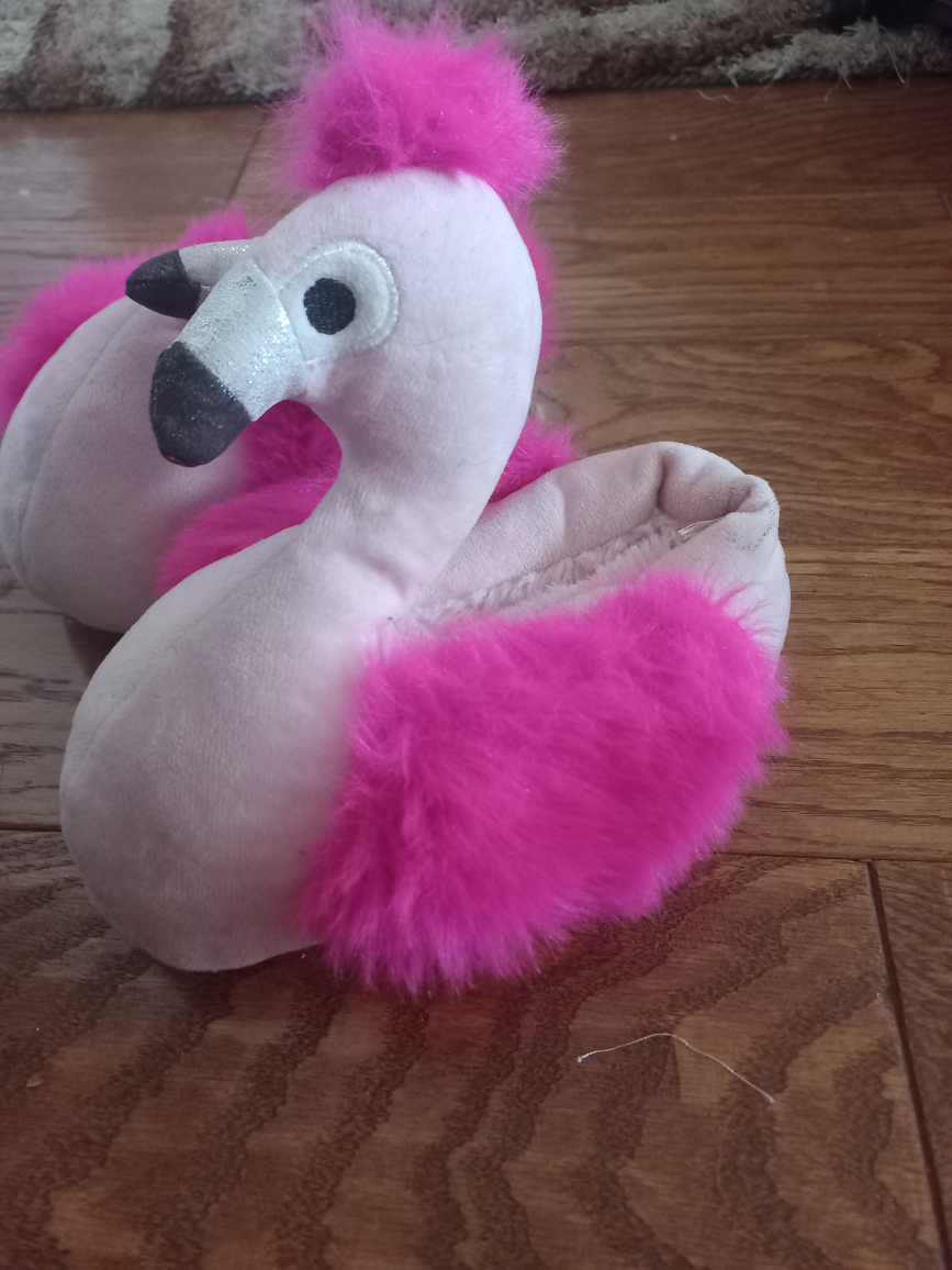 Swan shoes #freecycle image indicator(2)