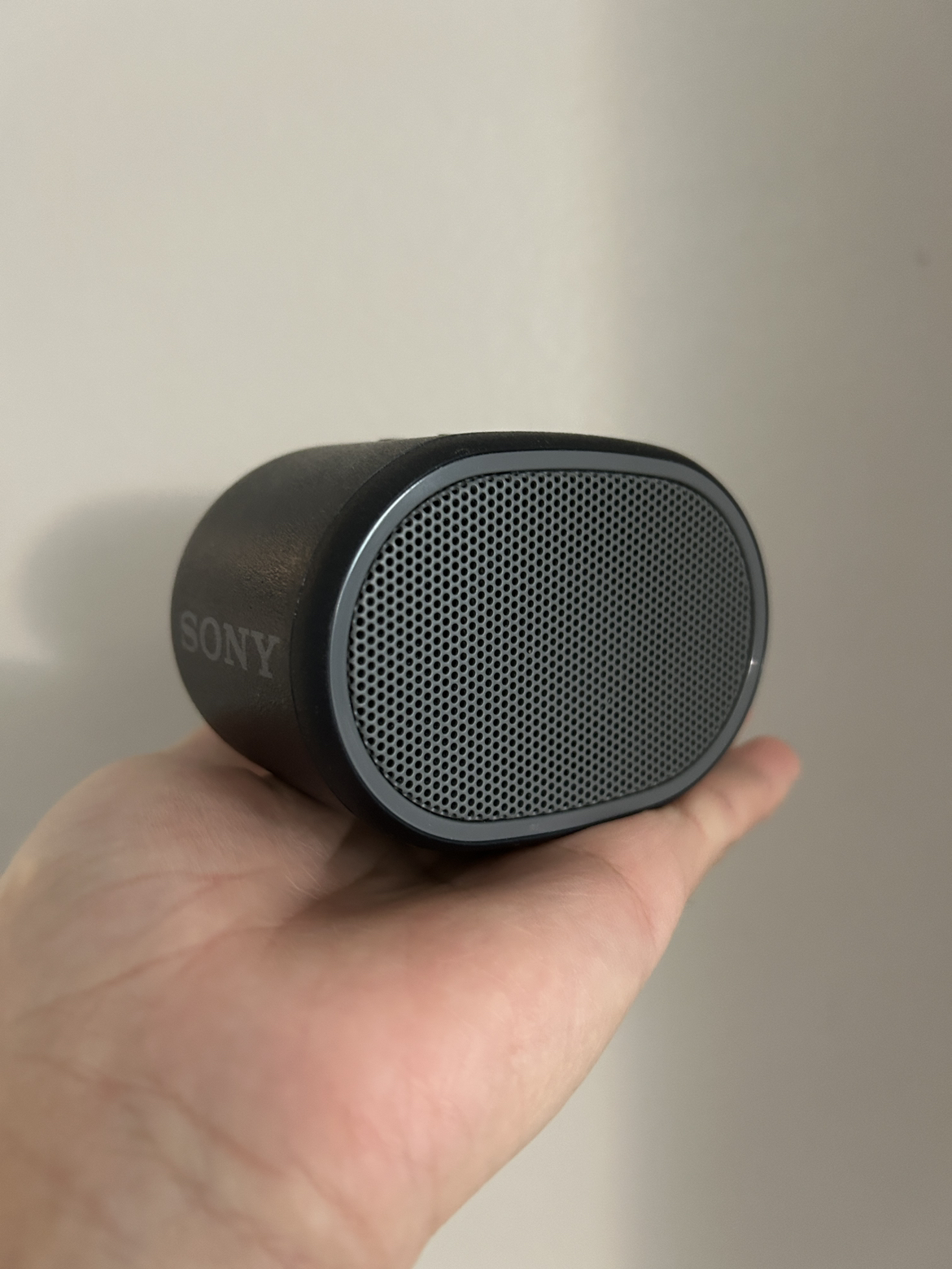 Sony Portable Speaker