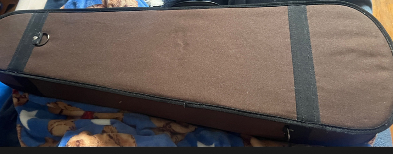 4/4 Violin - photo 4