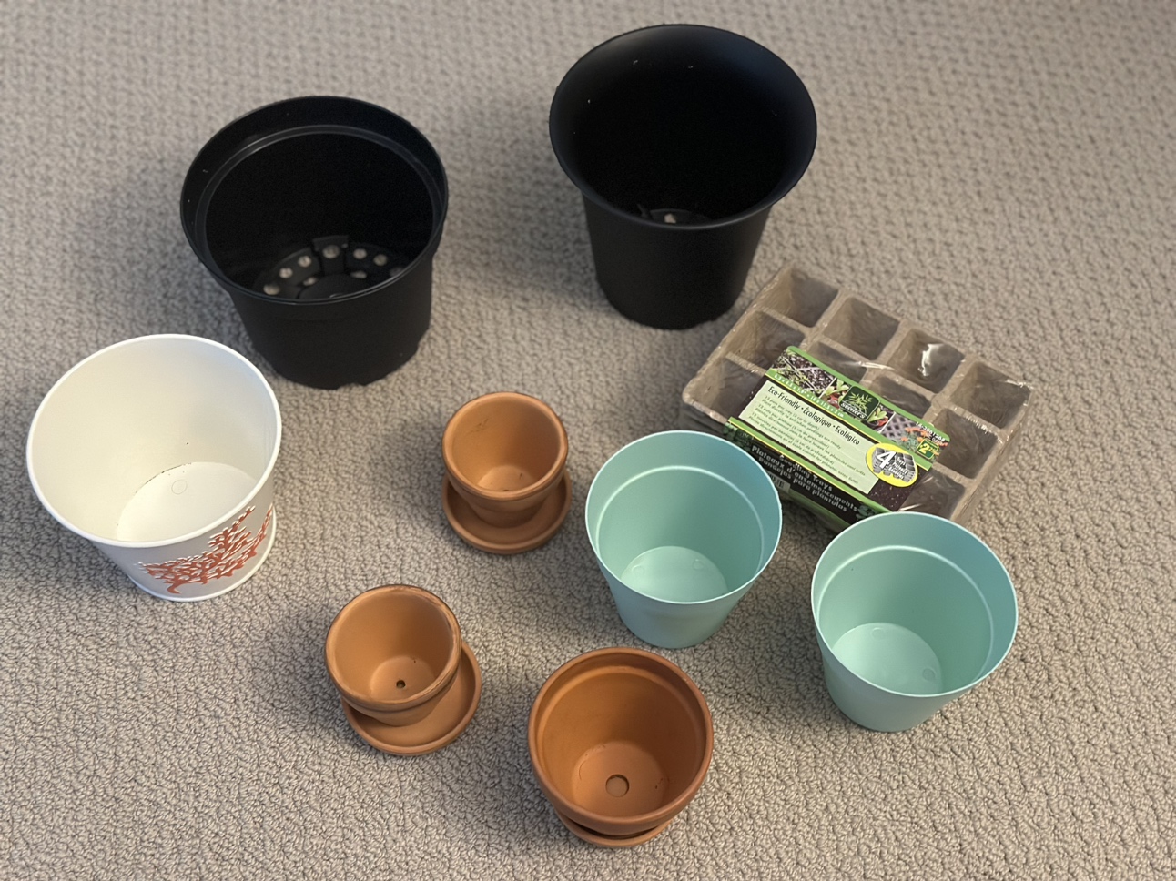 Plant pots🥕 thumbnail