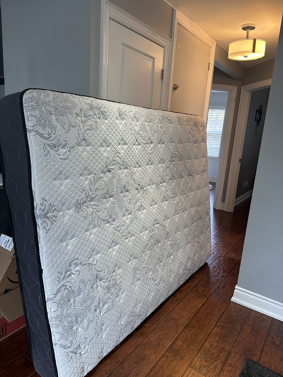 FREE - Queen Size Mattress