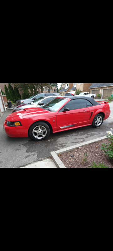 2003 Mustang Convertible