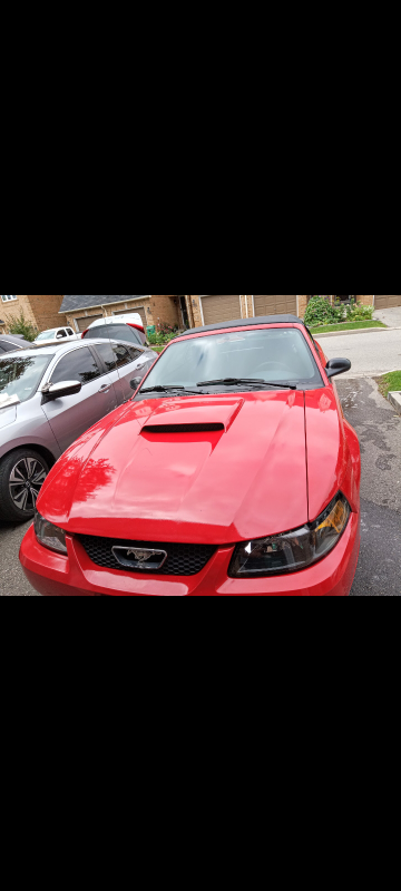 2003 Mustang Convertible - photo 2