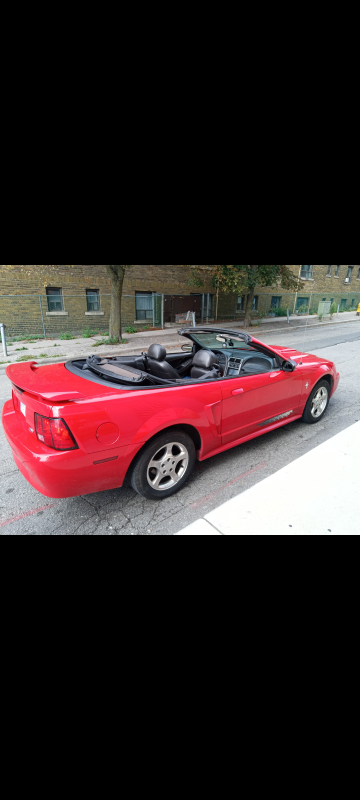 2003 Mustang Convertible - photo 3