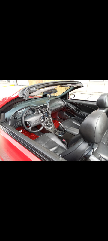 2003 Mustang Convertible - photo 4