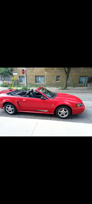 2003 Mustang Convertible - photo 5