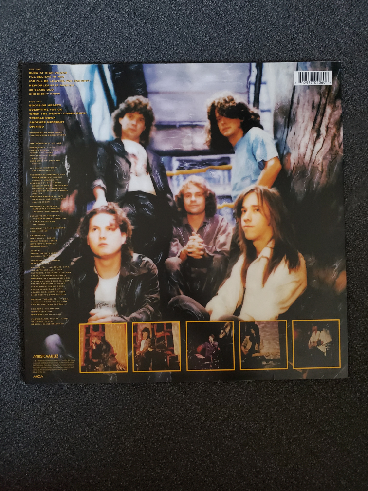 Vinyl Record: The Tragically Hip(Up to Here) - photo 2