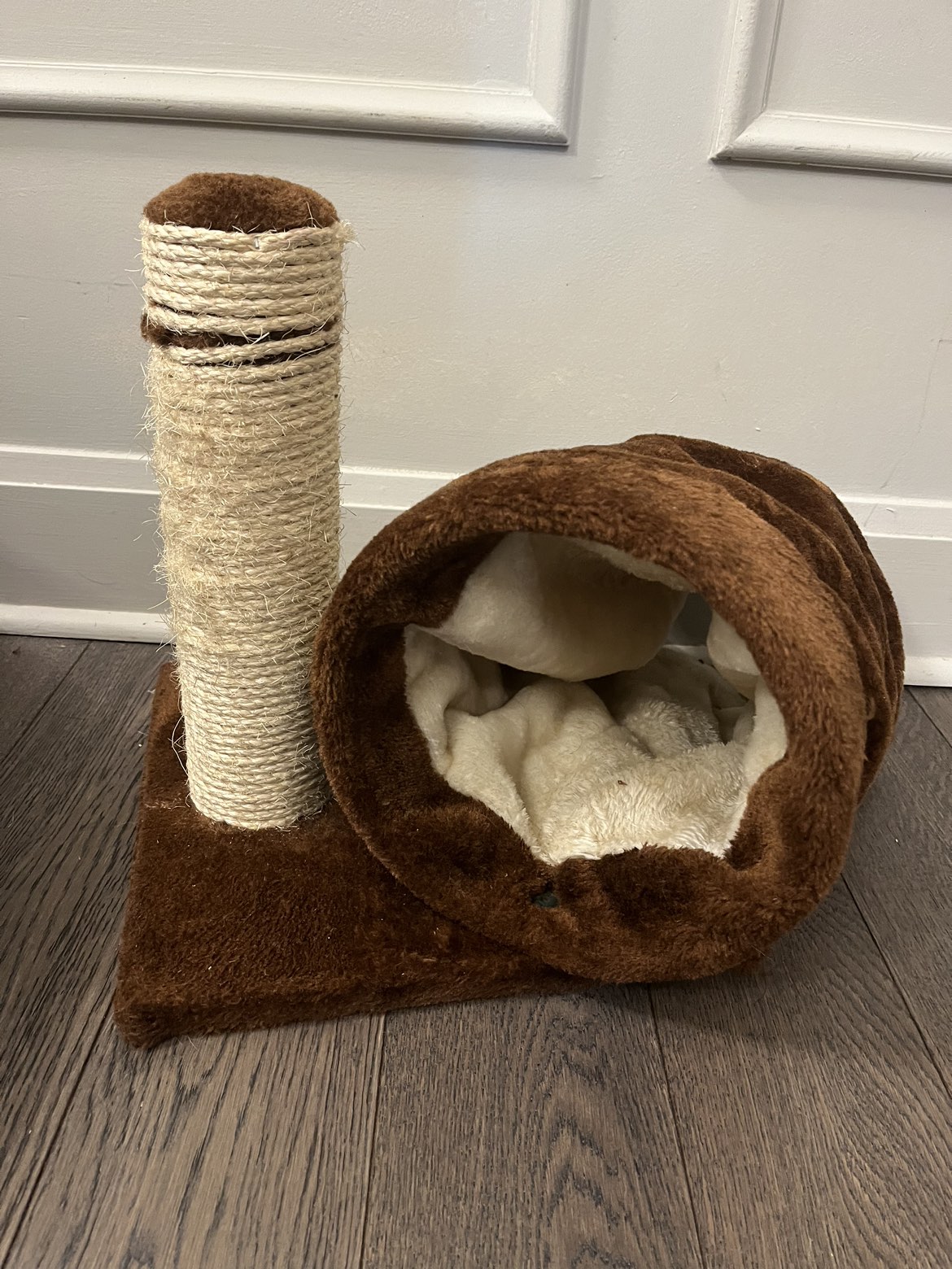 Cute cat scratch and play tunnel thumbnail