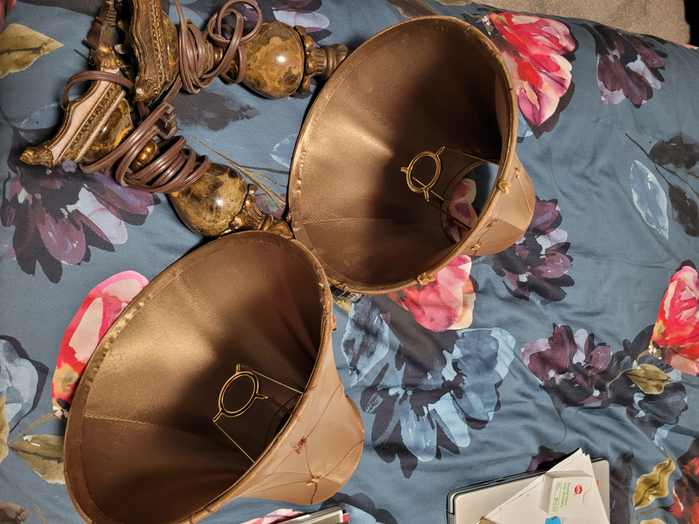 lamps x2 image indicator(5)