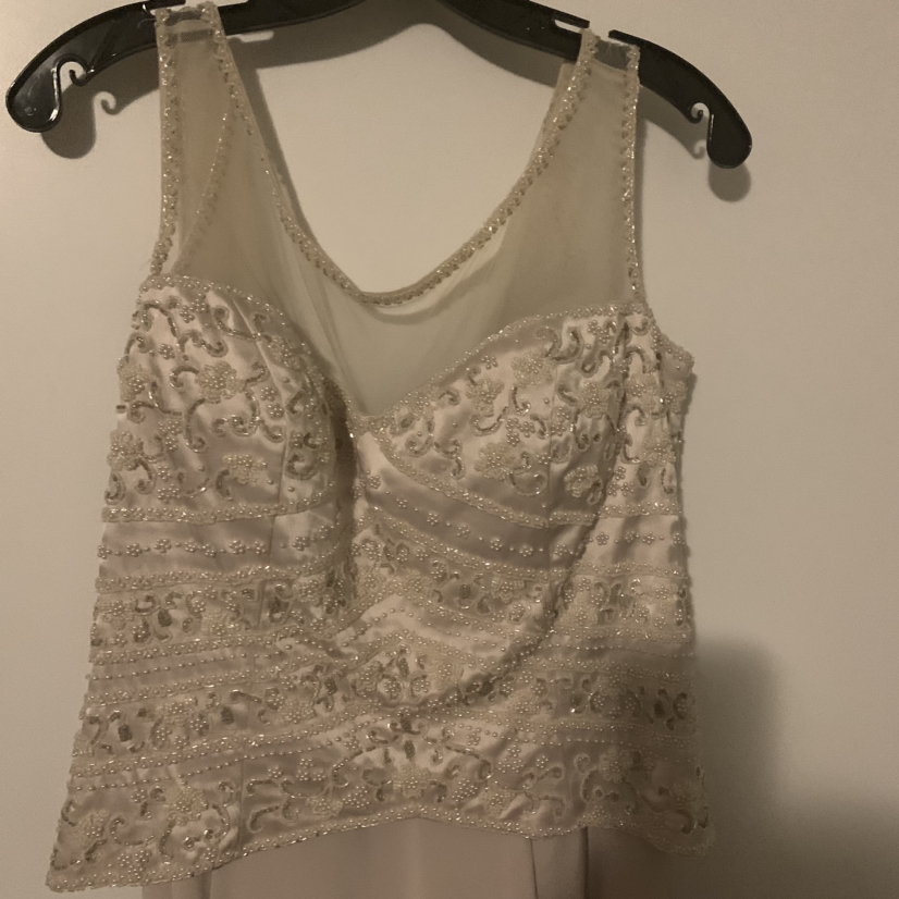 Beautiful beige gown image indicator(4)