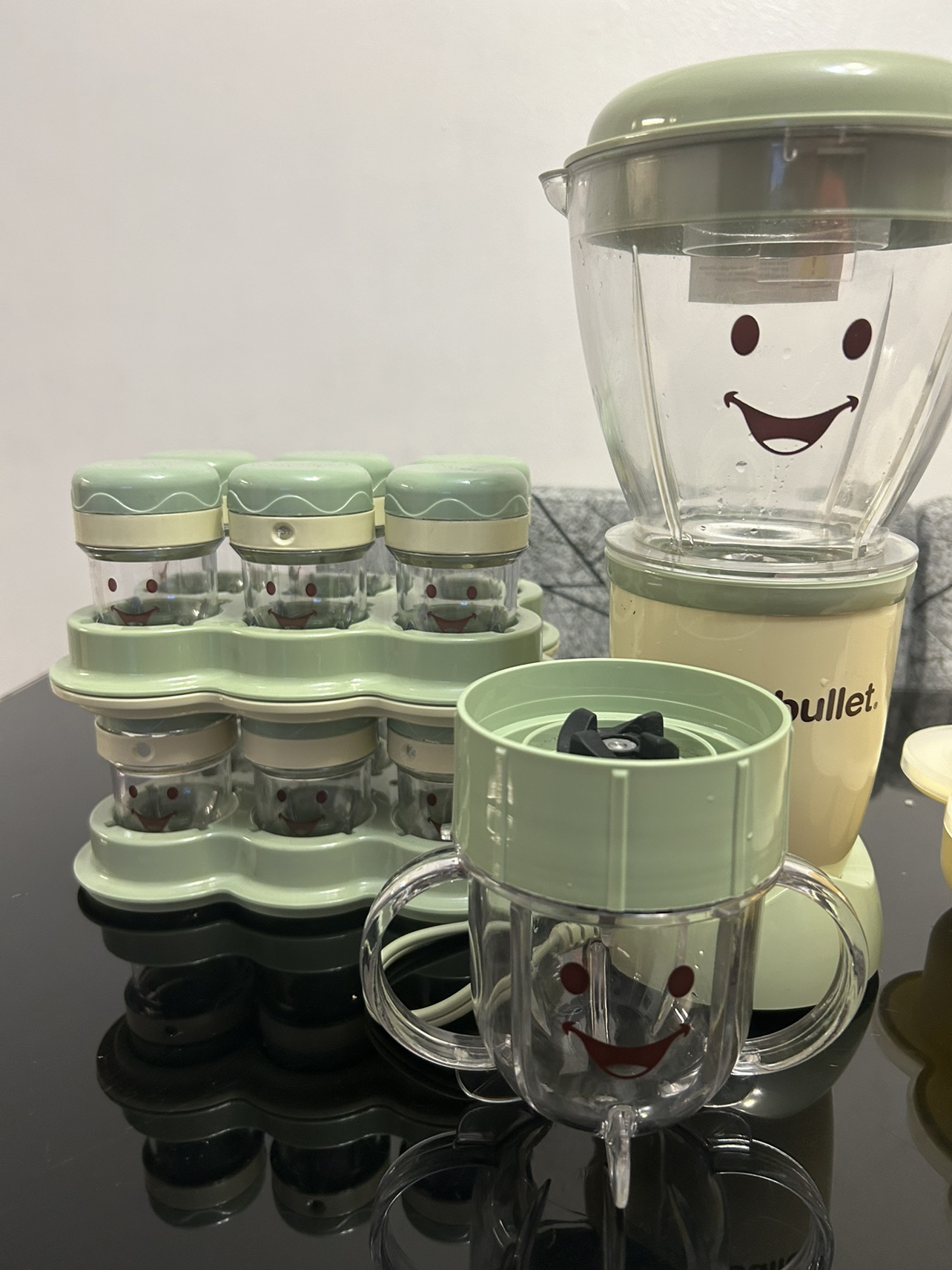 Baby Bullet Food Processor, Food Storing and Freezing