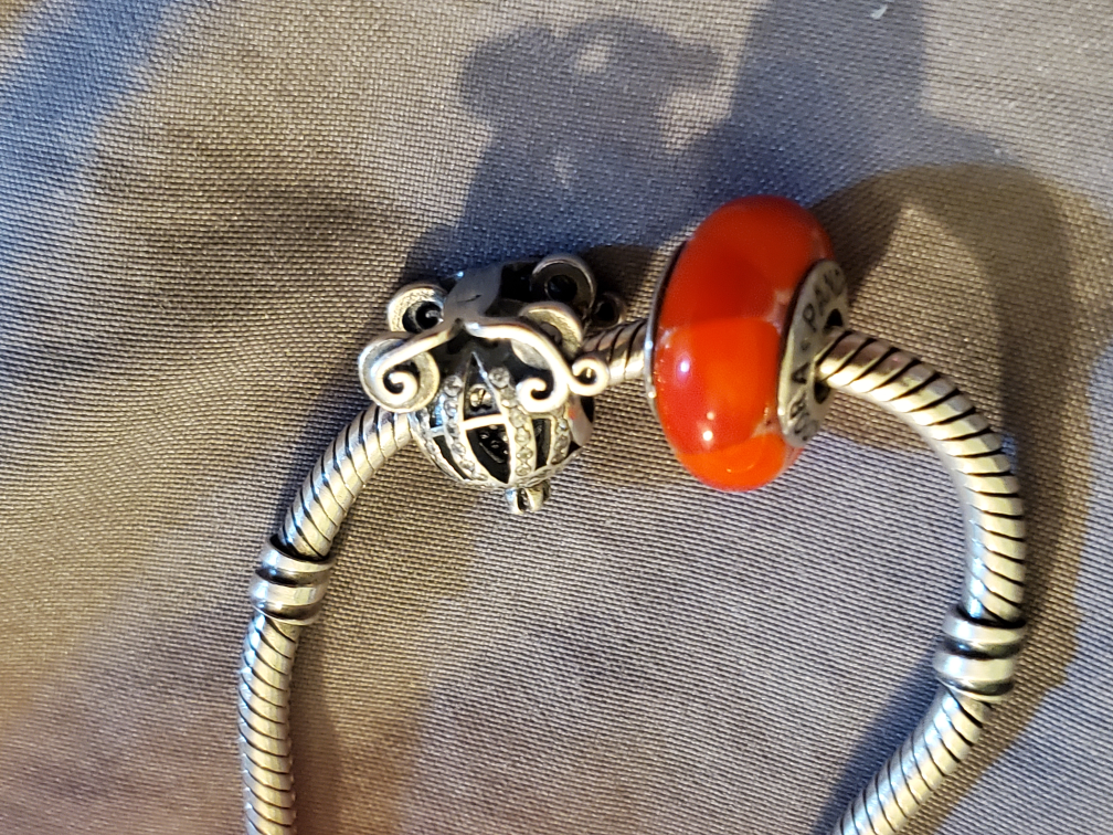 pandora bracelets with 2 charms image indicator(2)