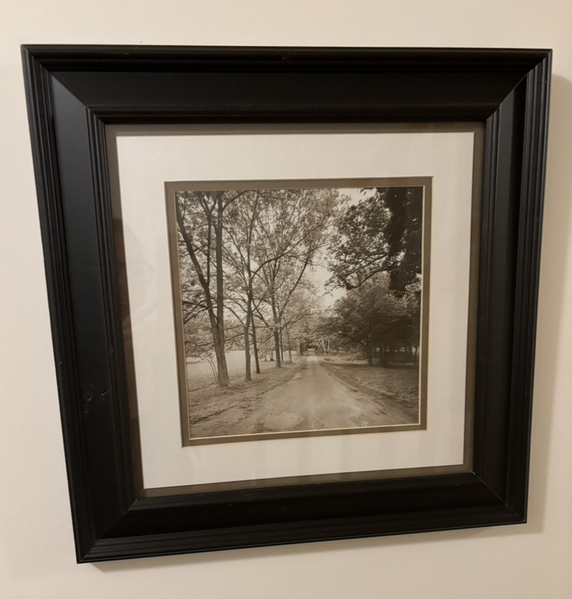 Set of Photographs thumbnail