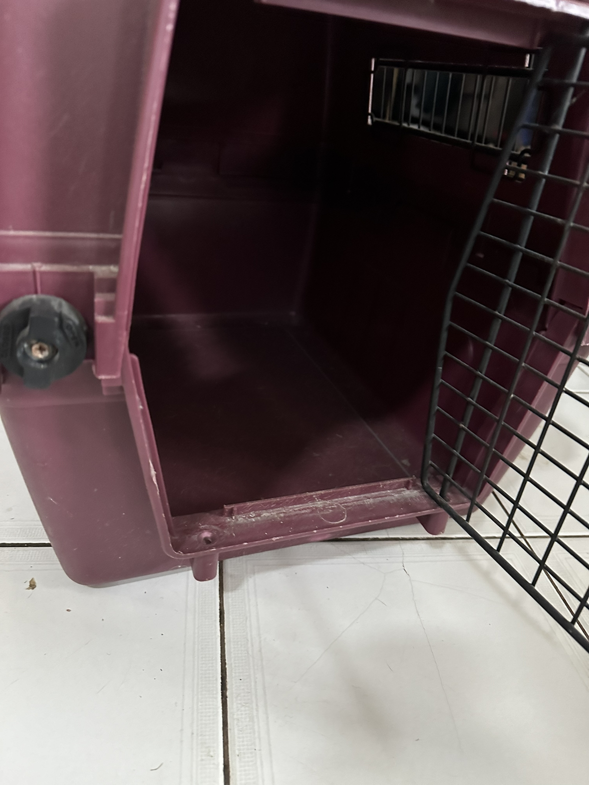 Cat/small dog carrier