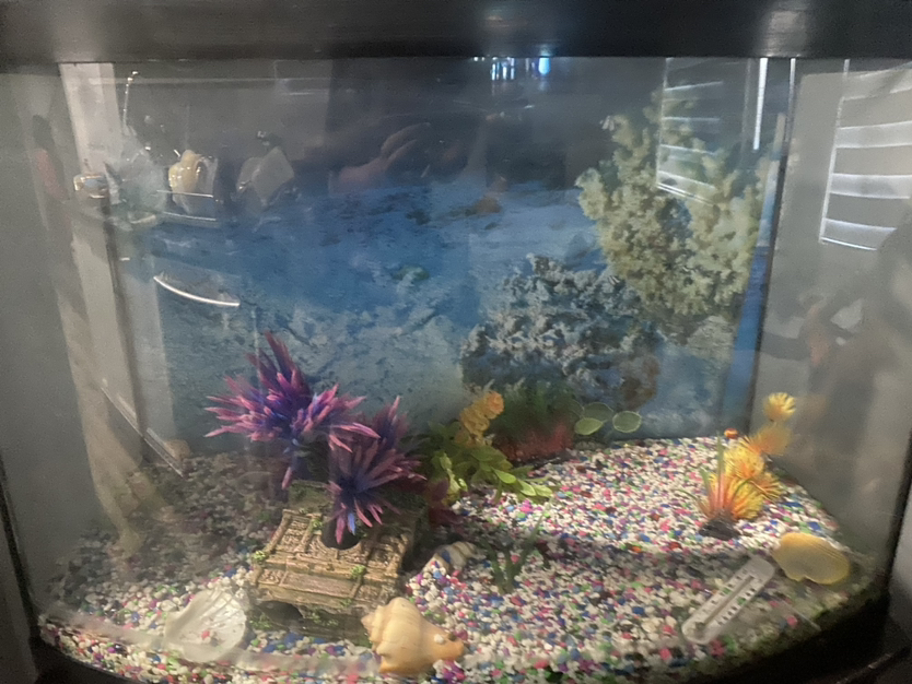 Fish tank thumbnail